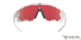 sluneční brýle Oakley Jawbreaker OO9290-21 PRIZM