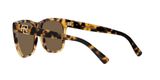 sluneční brýle Ralph Lauren RL8212 500473