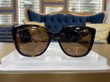 sluneční brýle Balenciaga BB0175SA 002